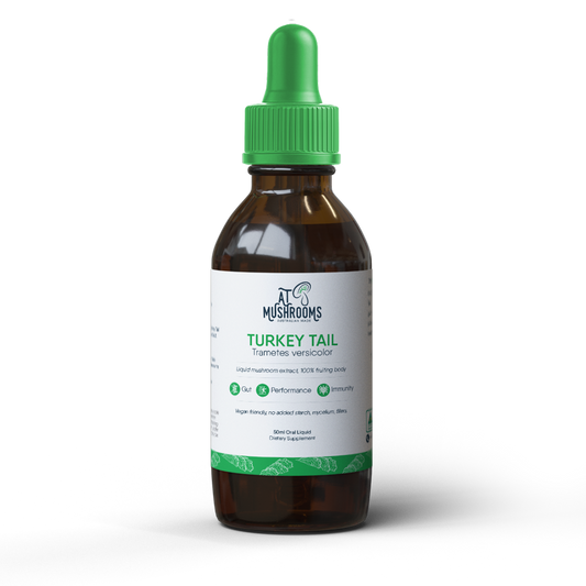 Turkey Tail Mushroom Extract